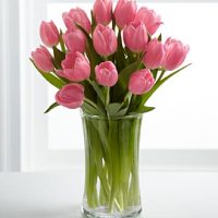 TOKO BUNGA TULIP KUBU, BALI