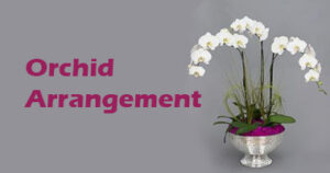 Toko Bunga Anggrek di Karawang, Jawa Barat