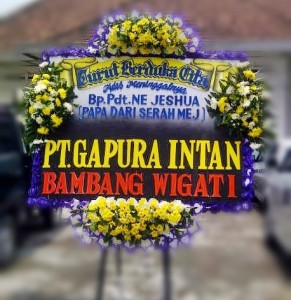 Solo-300-450-1,25x2m-YFS-01890