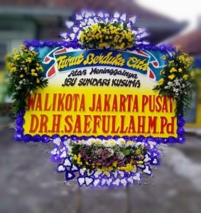 Solo-300-450-1,25x2m-YFS