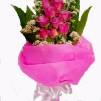 Pink Melody Pink Melody