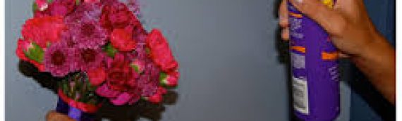 Cara Mengawetkan Bunga dengan bahan rumah yang mudah dicari!