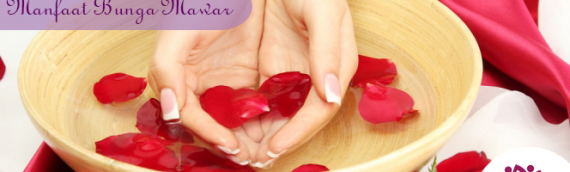 Manfaat Bunga Mawar