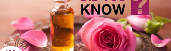 Negara Penghasil Minyak Mawar Terbaik Di Dunia