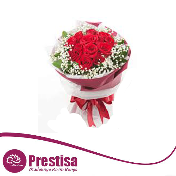 HB YYK 749 - Prestisa.com