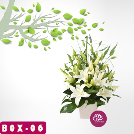flower box