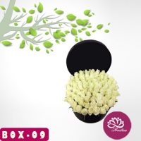 Kirim Bunga Box di Karawang, Jawa Barat