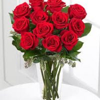 JUAL BUNGA MAWAR SEMANGGI, SOLO