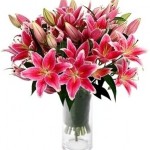 Pesan Bunga Mawar Hadiah Valentine Di Toko Bunga Online Prestisa Di Bantargebang