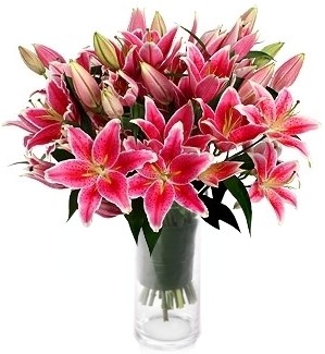 Pesan Bunga Mawar Hadiah Valentine Di Toko Bunga Online Prestisa Di Bantargebang