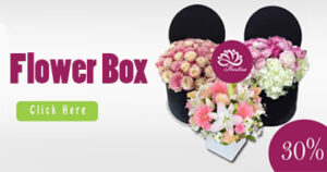 Jual Flower Box Mawar Kota Makassar