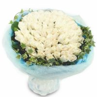 1426843254 1426843254