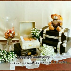 Kirim Parcel Lebaran Cookies Papanggo Warakas