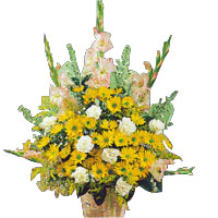 TOKO BUNGA GERBERA BATAM KOTA, BATAM