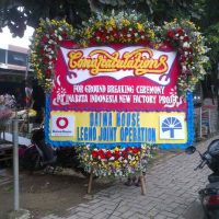 Jual Bunga Papan di Karawang Jawa Barat