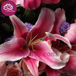 Hand-Bouquet-2_4-picsay