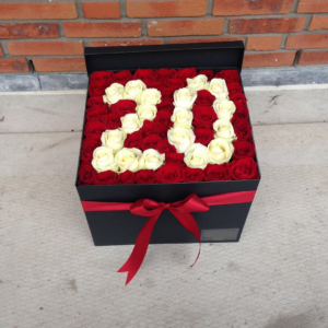 12479484_1679409045668843_337275329_n