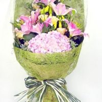 1372837957-200x200-copy