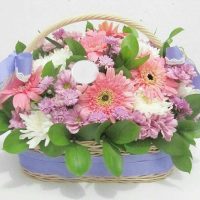 TOKO BUNGA GERBERA RAPPOCINI, MAKASSAR