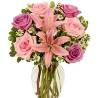 JUAL BUNGA MAWAR KUBU, BALI