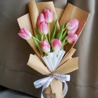 JUAL BUNGA TULIP RAPPOCINI, MAKASSAR