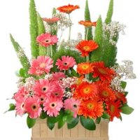 TOKO KARANGAN BUNGA DI SEMARANG