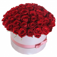 TOKO BUNGA BATAM FLORIST