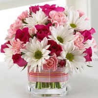 TOKO BUNGA GERBERA PALMERAH, JAKARTA