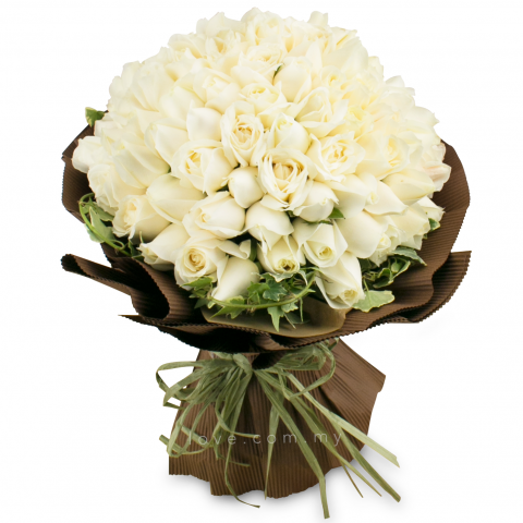 TOKO BUNGA TULIP NGAMPILAN, JOGJA