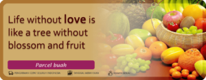 Toko Parcel Buah Jakarta