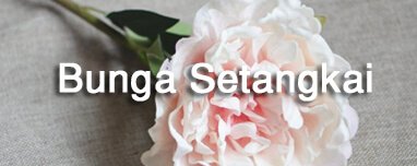Toko Bunga Murah di Jakarta