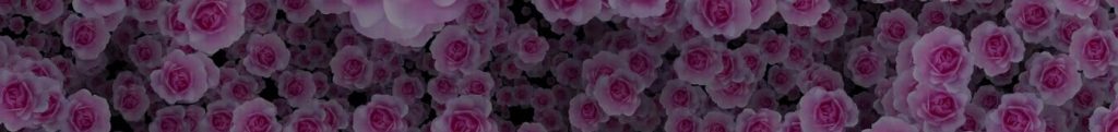 Footer Pink Blush Rose Prestisa