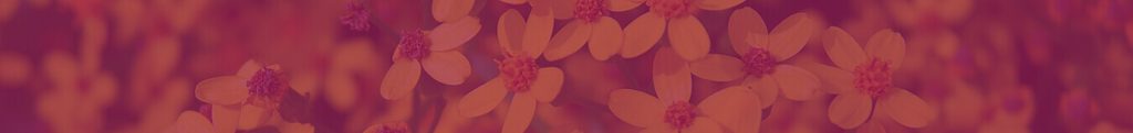 Footer Yellow Overlay Magenta Prestisa