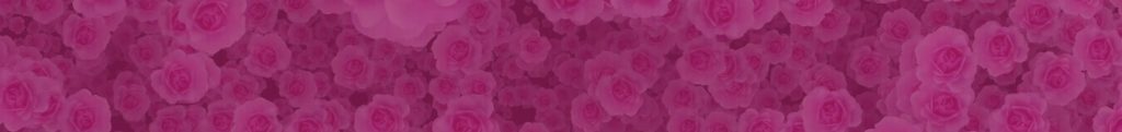 Overlay Pink Blush Magenta Prestisa
