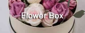 Toko Flower Box Jakarta