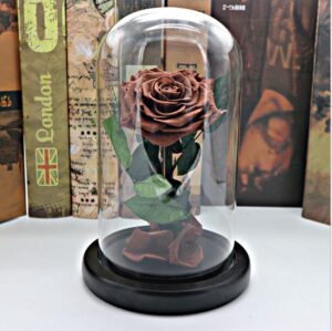 Toko Bunga Jakarta FF-010