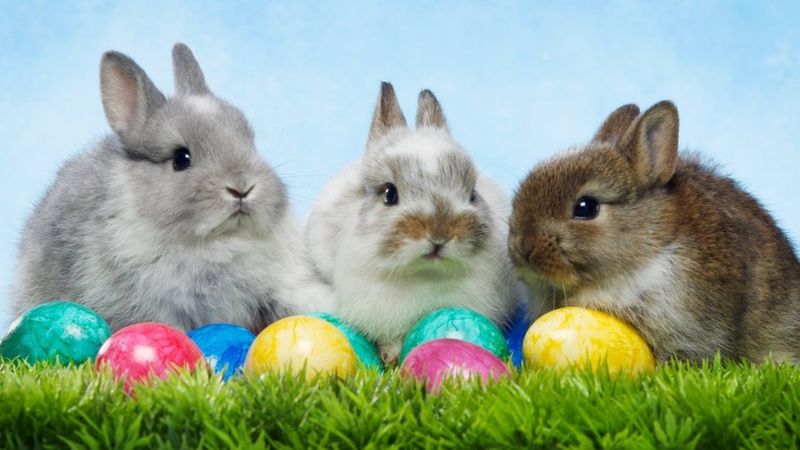 Makna Dibalik Telur, Kelinci dan Permen Saat Paskah