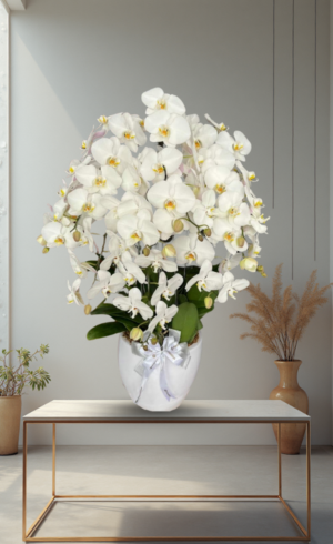 Bunga Anggrek Pot Premium Elegan 9