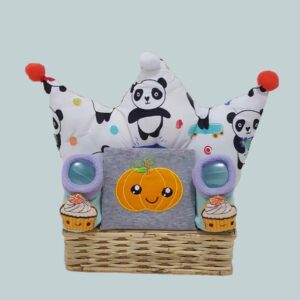 Baby Hampers 10