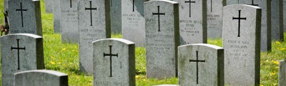 Bunga Duka Cita: Dari Temuan Arkeologis Hingga Pesan Online