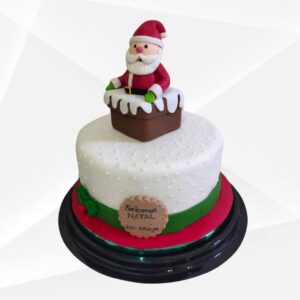 CHRISTMAS CAKE CK-2566