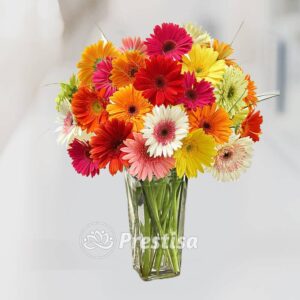 Bunga Meja - Bekasi - 716