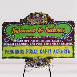 Bunga Papan - Bandung - Congratulation - 524