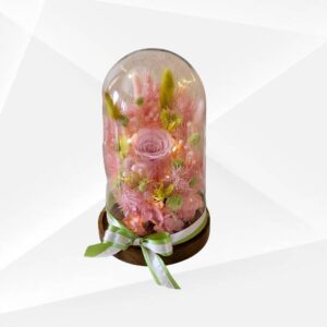 DOME AND SCENTED CANDLES - 1