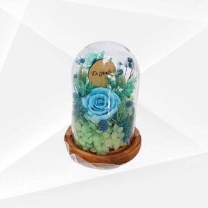 DOME AND SCENTED CANDLES - 2