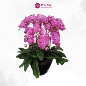 Karangan Bunga-Bunga Meja - Palembang -180