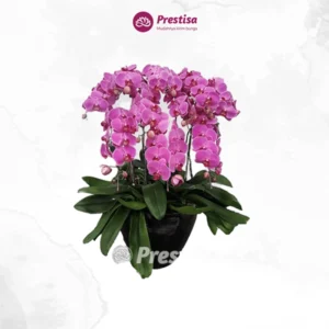 KARANGAN BUNGA MEJA – MEDAN – 5