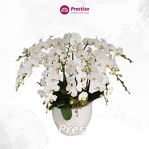 KARANGAN BUNGA MEJA – BEKASI – 5