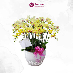 Bunga Meja - Bekasi - 1