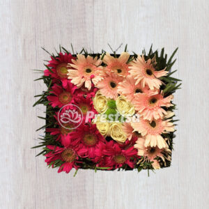 Flower Box - Yogyakarta -197